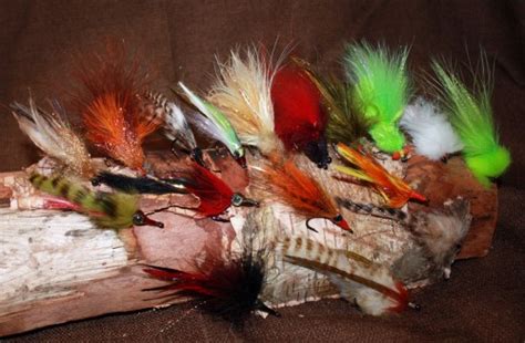 Fly Selections Belizepermit Fly Fishing Heaven