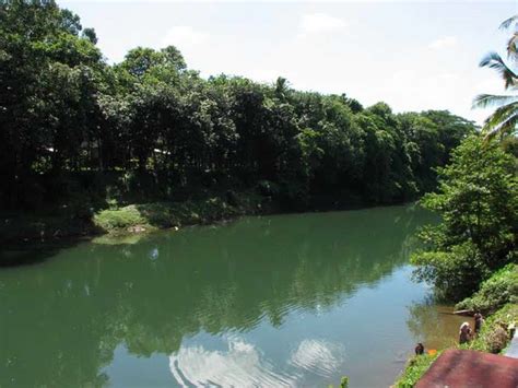 Meenachil River In Kottayam Kerala Keralaorbit