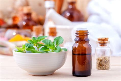 Natural Spa Ingredients Essential Oil With Oregano Leaves Stock Image Image Of Essence Olive