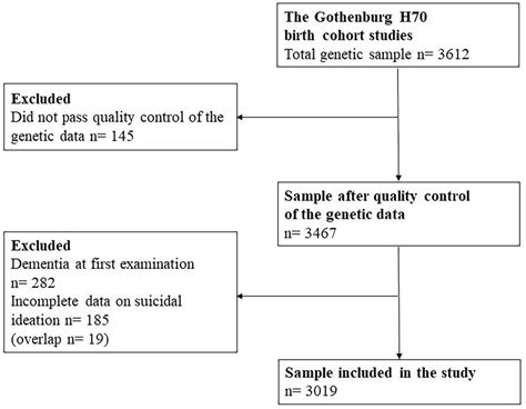 Frontiers Passive And Active Suicidal Ideation In A Population Based Sample Of Older Adults