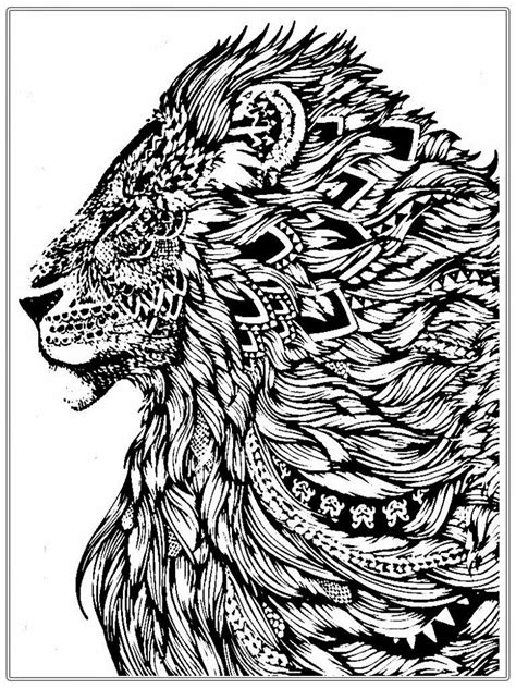 Realistic Lion Adult Coloring Pages Free Realistic