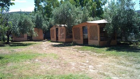 Thalatta Kalamitsi Village Camp Rooms Pictures And Reviews Tripadvisor