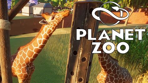 Meet The Giraffes Planet Zoo Franchise Part 8 Youtube
