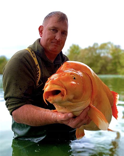 Is This The Biggest Goldfish Ever Caught Outdoor Life