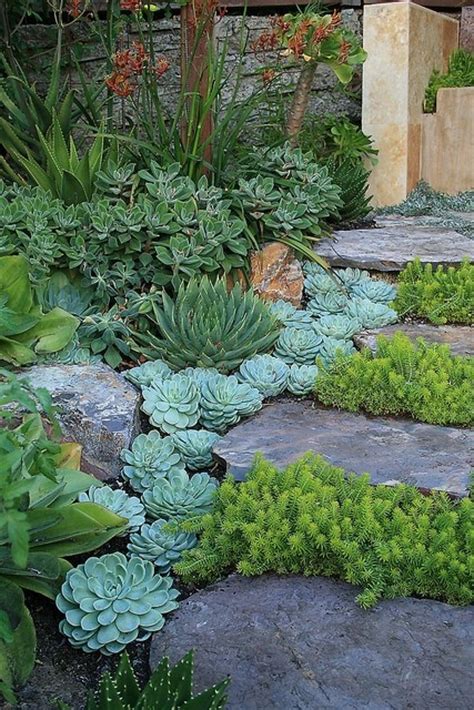 Creative Diy Gardening Idea 20 Landscaping With Succulents