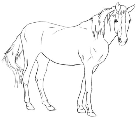 720x900 mustang rearing drawing by derrick higgins. How To Draw A Horse - Draw Central