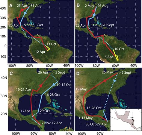 Tracking Long Distance Songbird Migration By Using Geolocators Science