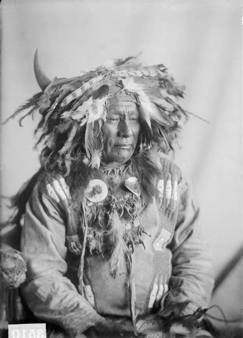 Old Photos Yanktonai American Native American