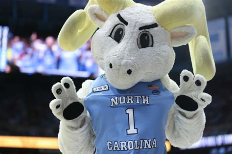 College Ncaa North Carolina Unc Tarheels Large Plush Mascot Ramses 22