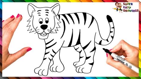 Comment dessiner un tigre étape par étape Dessin de tigre facile
