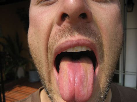 Jim And Emilys Guatemala Blog Archive Geographic Tongue
