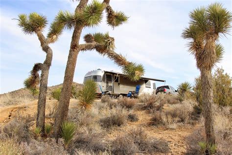 Exploring Black Rock Campground At Joshua Tree National Park In 2023