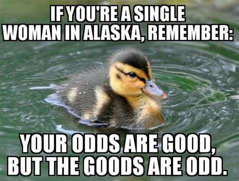 30 funny memes about alaska that are absolutely accurate