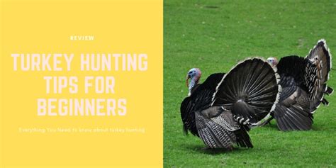 Turkey Hunting Tips For Beginners Everything You Ever Wanted To Know