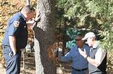 Idyllwild Forest Service Pictures