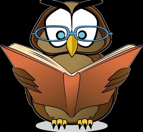 Owl Reading Books Drawing Free Image Download