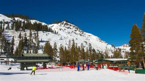 Ferienwohnung Alpine Meadows Ski Resort Ferienhäuser And Mehr Fewo Direkt