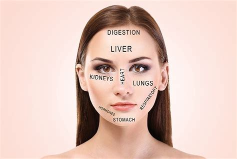 Acne Face Mapping The Best Guide To Find Causes And Solutions