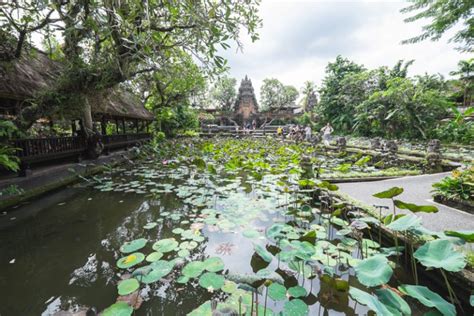 Las 10 Cosas Que No Puedes Dejar De Ver En Ubud Durante Un Viaje A Bali