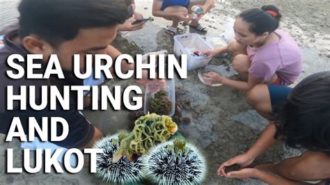 Sea Urchin Hunting Dami Dito Dikit Dikit Lang Sa Cordova Weekend