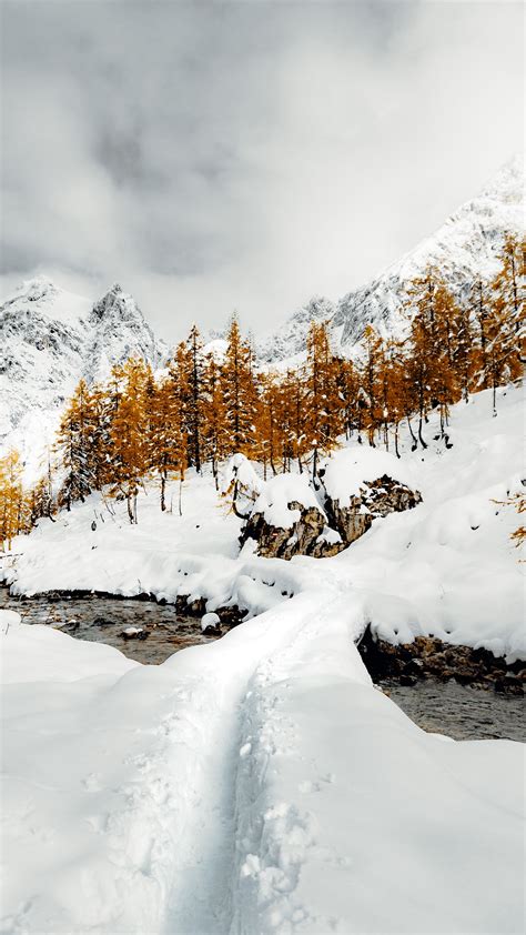Download Wallpaper 2160x3840 Mountains Trees River Snow Winter