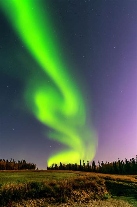 Aurora Borealis Fairbanks Alaska Photograph By Doug Holck Fine Art