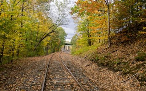 Railroad Track Between Green Yellow Autumn Leaves Trees During Daytime