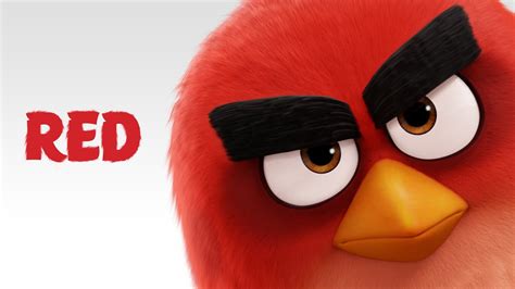 Aprender Acerca Imagen Dibujos De Red Angry Birds Thptletrongtan Edu Vn