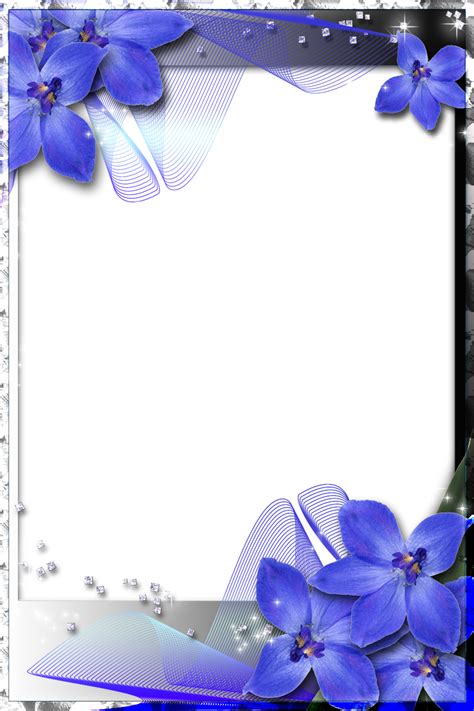 Beautiful Transparent Frame With Blue Orchids Floral Border Design