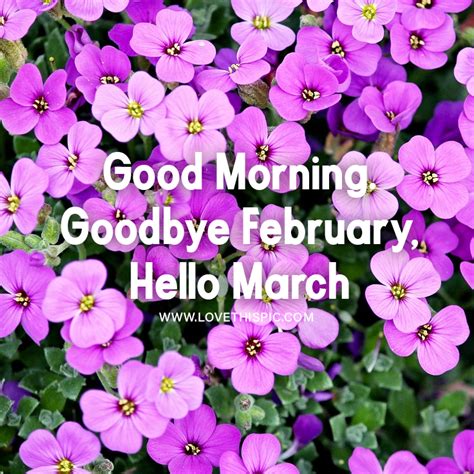 Good Morning Goodbye February Hello March Pictures Photos And
