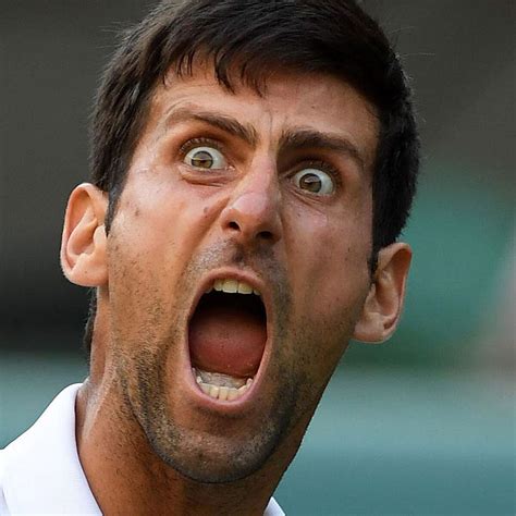 Psbattle Angry Novak Djokovic Photoshopbattles