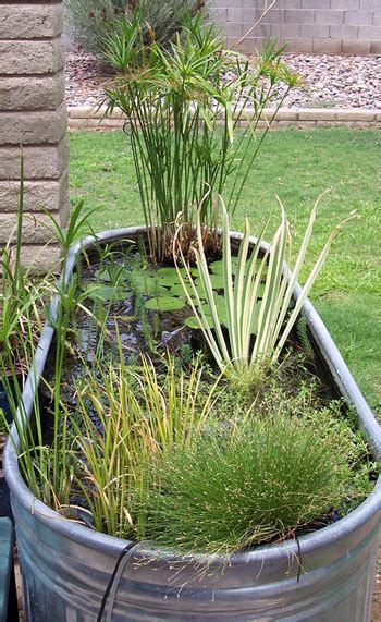 Stock Tank Ponds - Setting Up, part one (Ghostwater Garden)