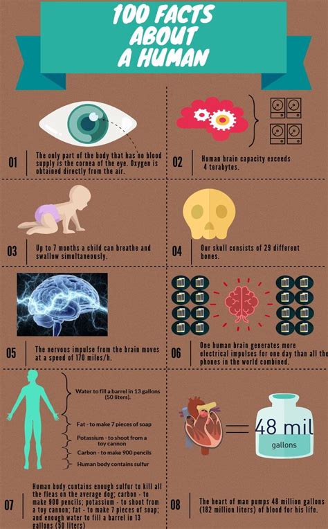 Amazing Facts About Humans