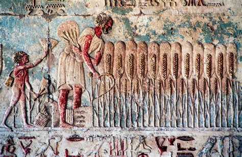 Celebrating The Seasons The Ancient Egyptian Calendar Nile Scribes