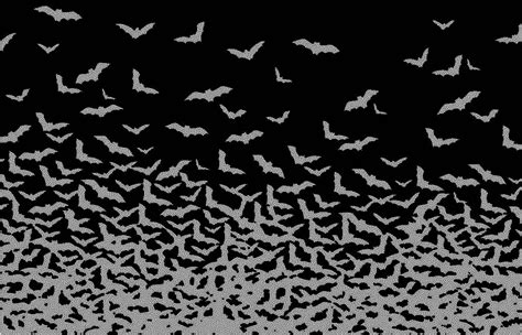 48 Bats Wallpaper Wallpapersafari