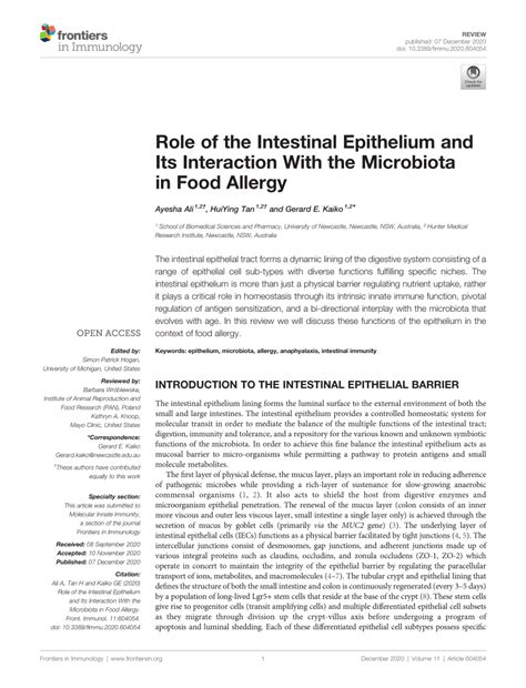 Pdf Role Of The Intestinal Epithelium And Its Interaction With The