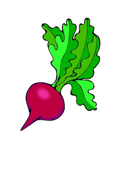 Fructe și Legume Planșe Ilustrate Colorate Cântece De și Pentru