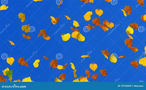 Falling Autumn Leaves Background Stock Video Video Of Motion Closeup