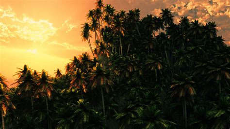 Jungle Sunset By Cdlink On Deviantart