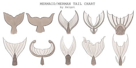 Mermaidmerman Tail Chart By Xelgot This Chart Was Commissioned To