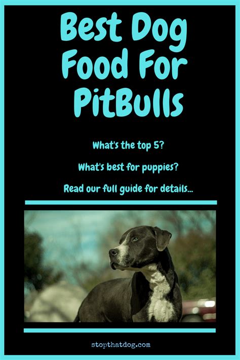 Maybe you would like to learn more about one of these? What's The Best Dog Food For Pitbulls? Our In-Depth Guide