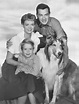 Lassie (serie televisiva 1954) - Wikipedia