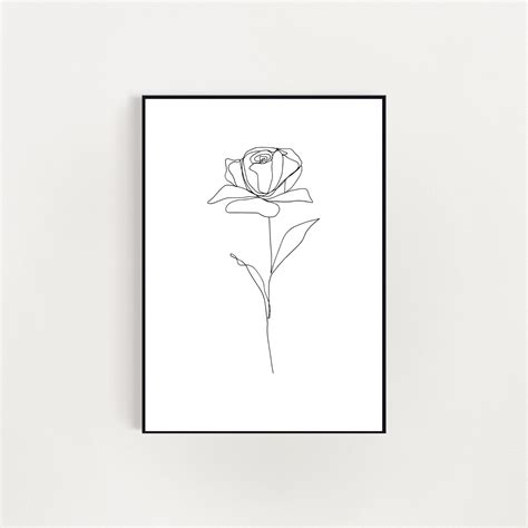 Rose Rose Wall Art Botanical Print Botanical Illustration Simple