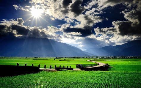 Foto Pemandangan Sawah Yang Indah Pemandanganoce