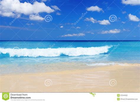 Tropical Beach Blue Sky And Clear Water Stock Photo Image Of Concept