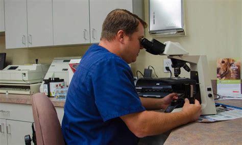 Our clients and patients are the heart of our hospital and the reason we exist. Laboratory - Loving Care Animal Hospital