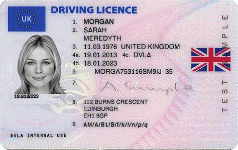 Driving License Soft Copy Download Realgre