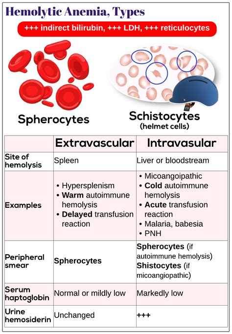 Types Of Hemolytic Anemia Medicine Keys For Mrcps
