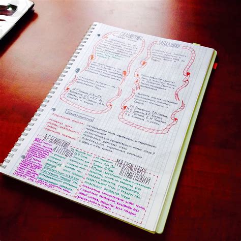 13 Pretty Pictures Of Class Notes That Will Inspire You To Actually