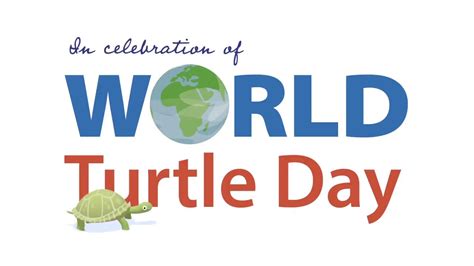 World Turtle Day 2019 Youtube